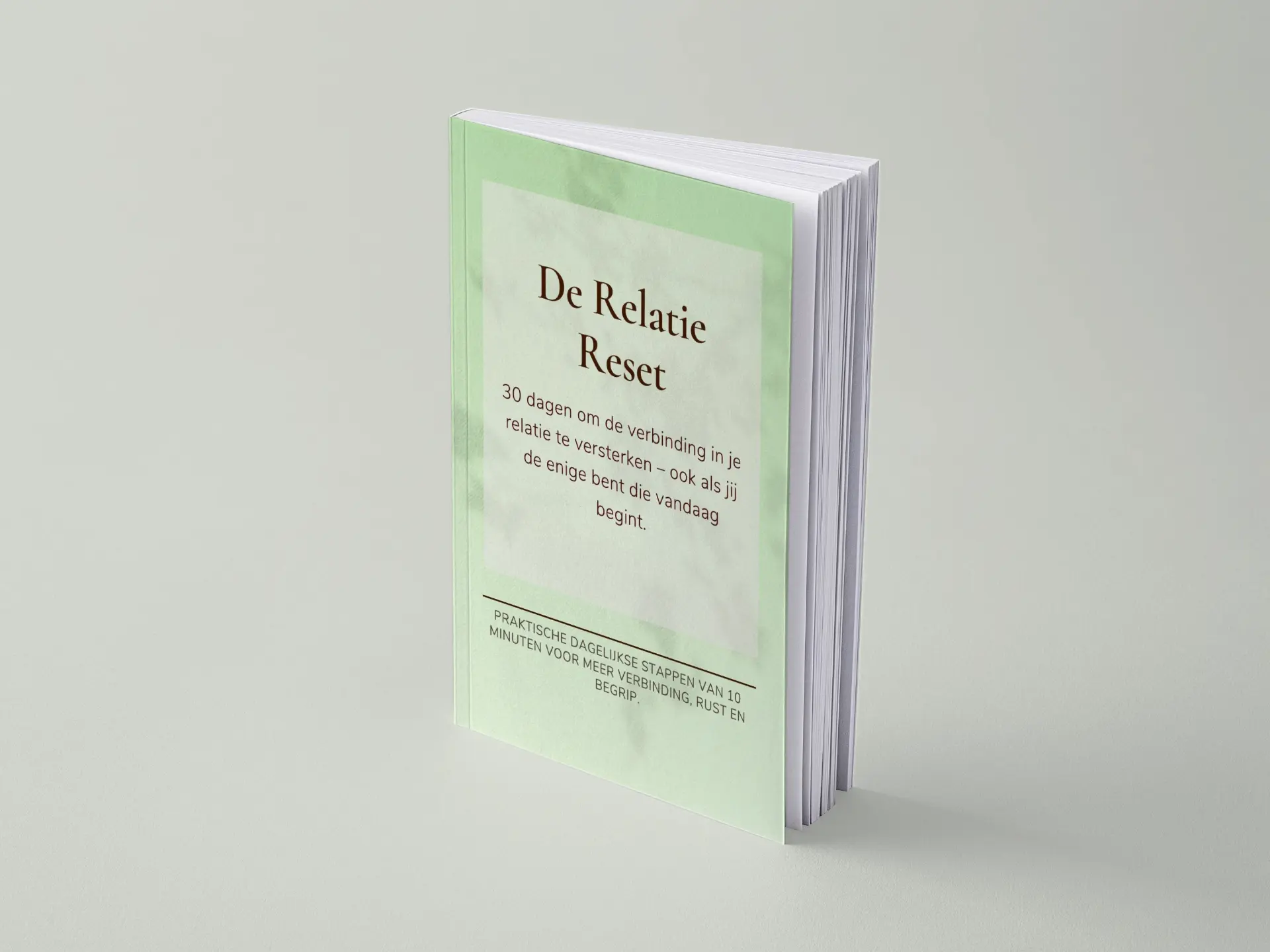 De voorkant van het digitale werkboek De Relatie Reset